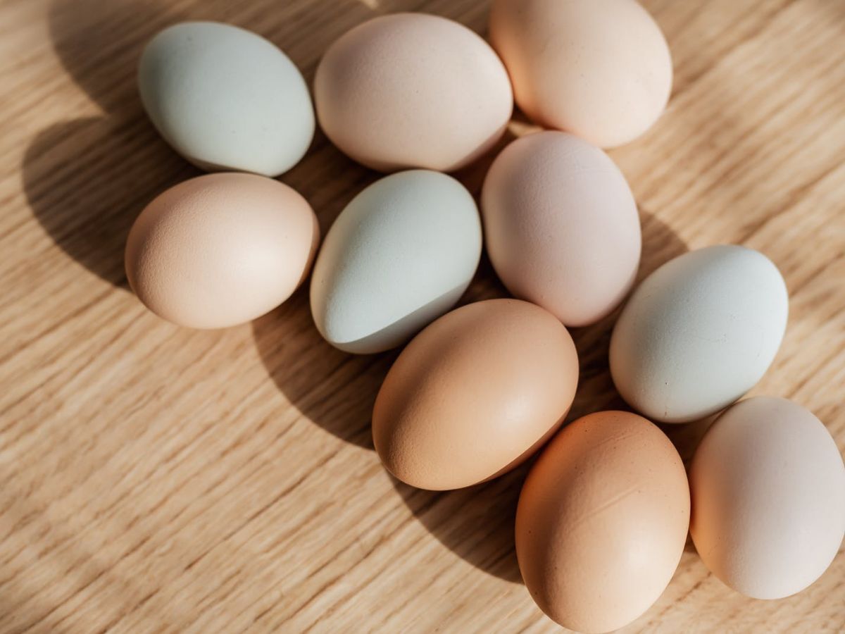 What Chicken Breed Lays Pink Eggs? – Best 5 Chicken Breeds