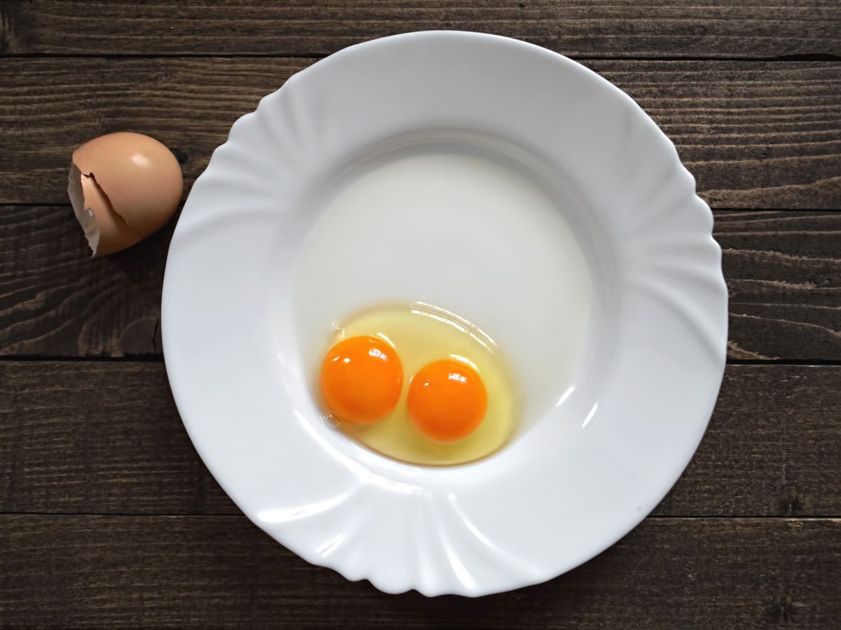 Why Does An Egg Have Two Yolks? – Double Yolk Eggs Explained